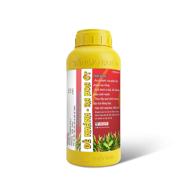 ĐẺ NHÁNH RA HOA ỚT