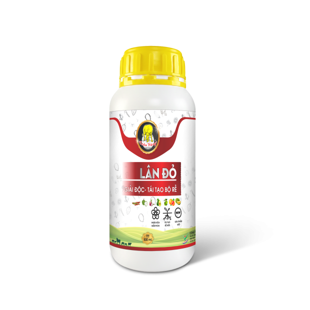 LÂN ĐỎ 500ml