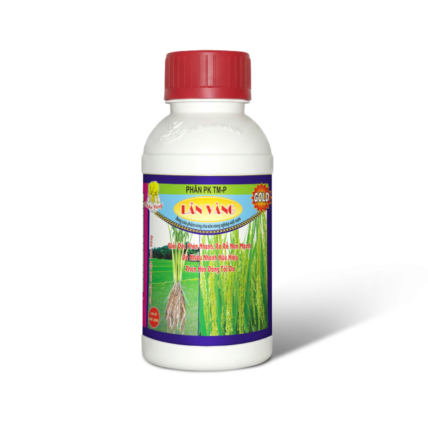 LÂN VÀNG (500ml)