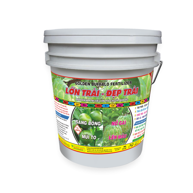 LỚN TRÁI ĐẸP TRÁI