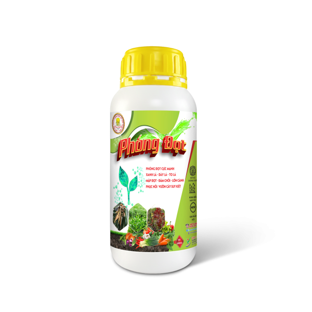 PHÓNG ĐỌT (500ml)