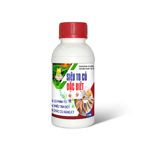 SIÊU TẠO CỦ ĐẶC BIỆT (500m)