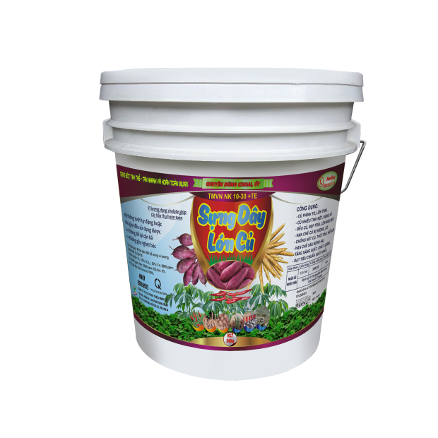 SỰNG DÂY LỚN CỦ